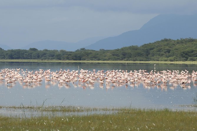 6 Days 5 Nights Safari Ngorongoro, Serengeti and Tarangire National Parks - Additional Costs