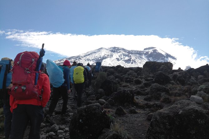 7 Days Lemosho Route Climbing Mt.Kilimanjaro - Guided Expedition