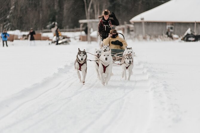 A Day With Bite for Sled Dogs - Confirmation, Availability, and Restrictions