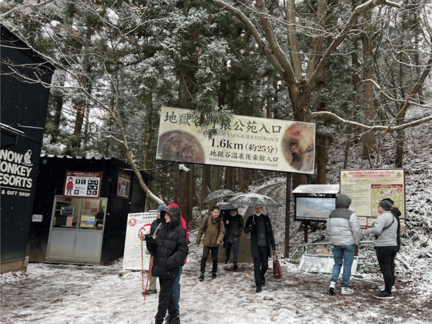 A Memorabele Snow Monkey Park & Zenkoji Temple Private Tour - Wildlife Observation