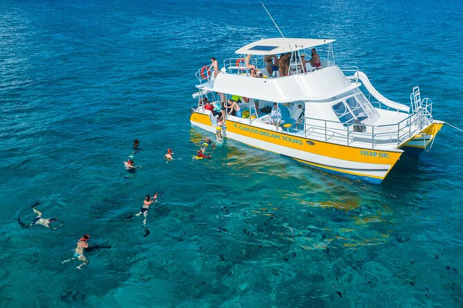 Afternoon Half Day Cruise From Providenciales With Snorkeling and Iguana Island - What to Expect Onboard