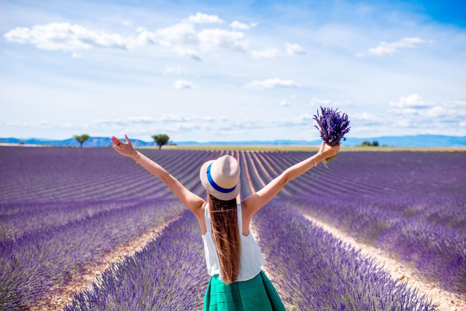 Aix-en-Provence: Day Trip to the Valensole Lavender Fields - Difference Between Lavender and Lavendin