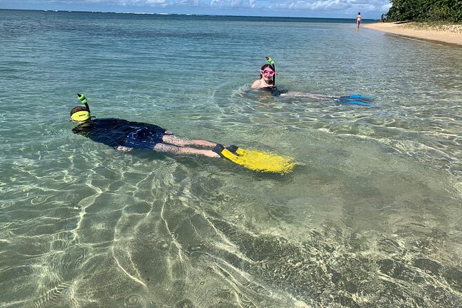 All Day Snorkeling Gear Rental in Puerto Rico - Participant Guidelines