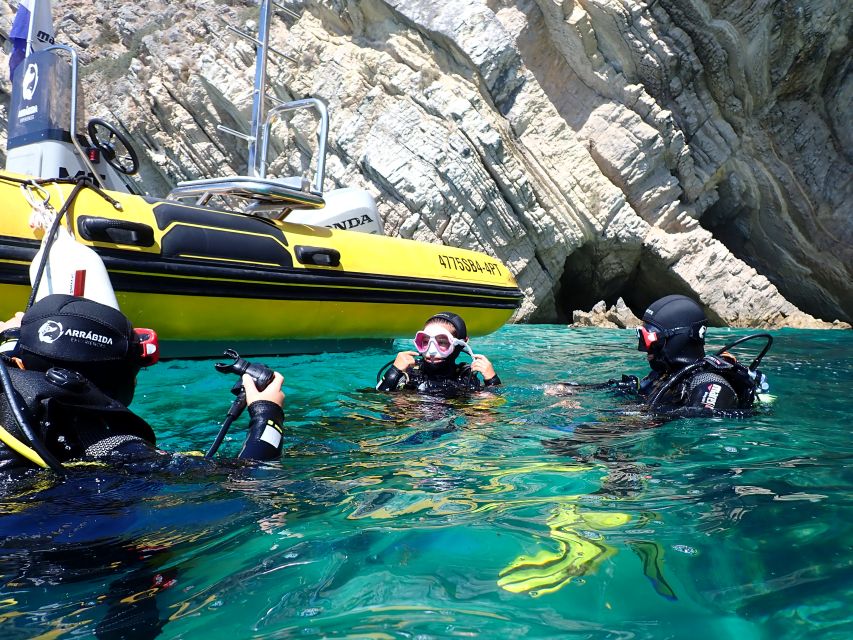 Arrábida: Open Water Diver Course in Arrábida Marine Reserve - Equipment and Gear