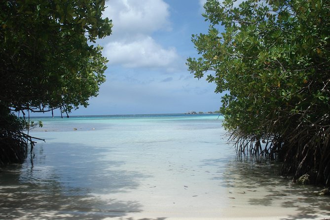 Aruba Mangel Halto and Baby Beach Snorkeling Guided Tour - Recommended Attire