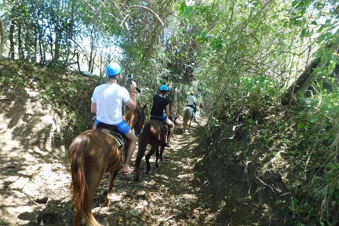 ATV and Horse Riding in Puerto Plata / Shore Excursion & Hotel - Weight Restrictions