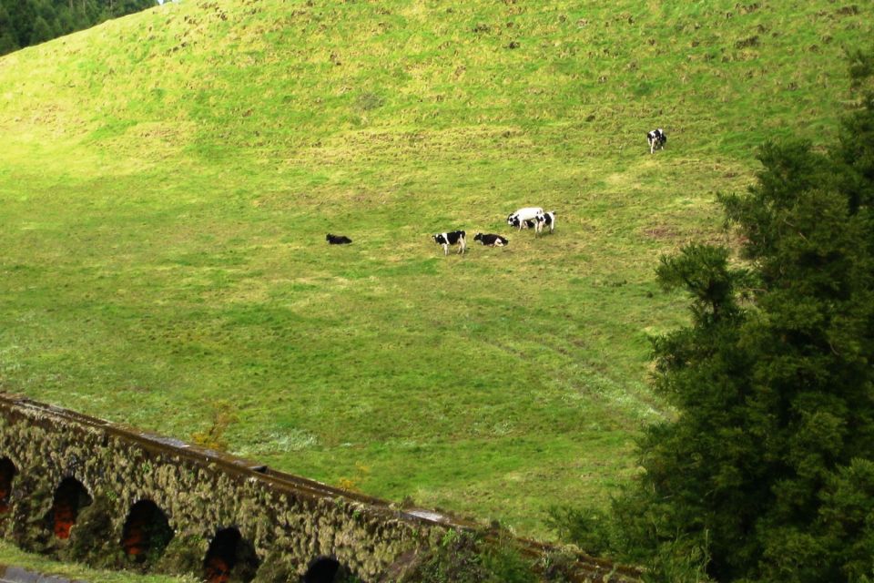 Azores: Sete Cidades Scenic Jeep Tour From Ponta Delgada - Inclusions and Exclusions