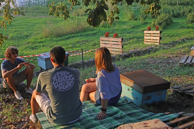 Beekeeping Farm Tour and Tasting Experience in Lazise - Confirmation and Accessibility