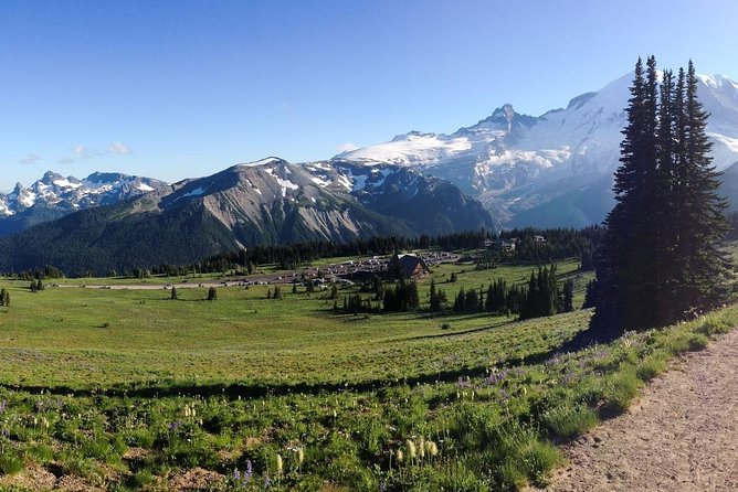 Best of Mount Rainier National Park From Seattle: All-Inclusive Small-Group Tour - Scenic Viewpoints and Trails