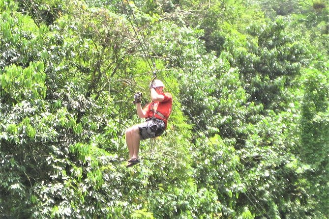 Black River Safari & YS Falls Guided Tour With Lunch & Admission From Negril - Activity Options