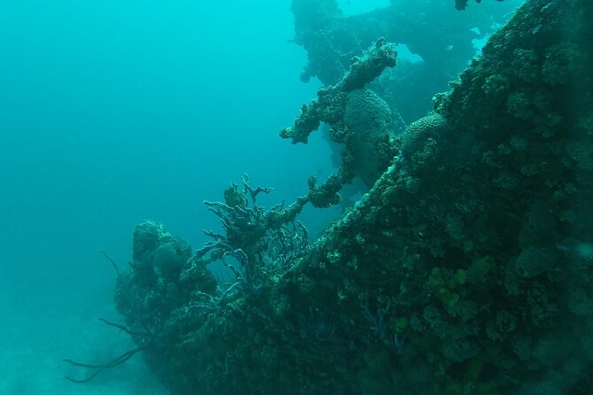 Boat Dive Shipwreck/ Airplanes/ Reef /2 Tanks - Ratings and Reviews