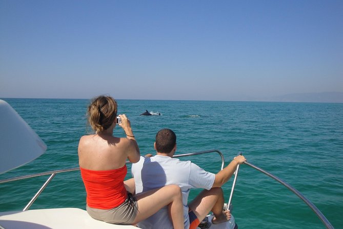 Boat Trip for Dolphin Watching Along the Arrabida Coast and Sesimbra - Reviews and Ratings