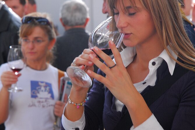 Bordeaux Culinary and Wine Tasting Tour - Traveler Reviews