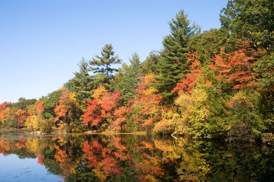 Boston Harbor Fall Foliage Weekend Brunch Cruise - Meeting Point and Details