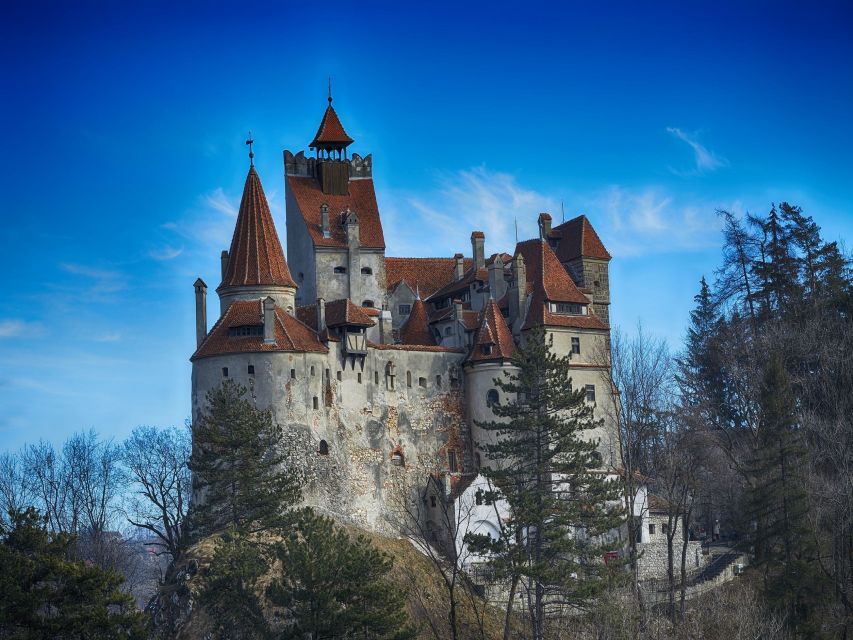 Bran: Guided Castle Tour - Meeting Point