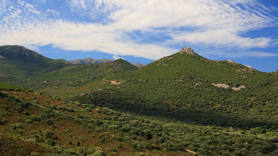 Calvi: Asco Valley 4x4 Day Tour With Guide - Learning From the Local Guide