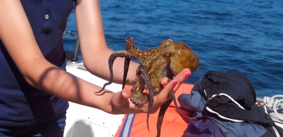 Cascais: Family Fishing With Welcome Drinks - Cascais Maritime Heritage