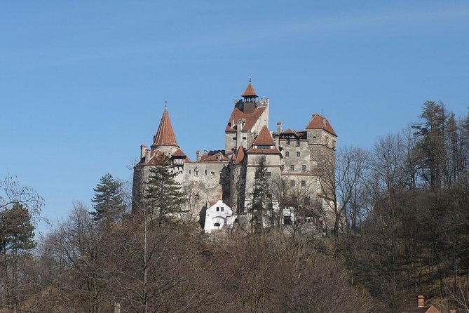 Castles Day Tour Peles - Bran - Rasnov From Brasov - Customer Guidelines