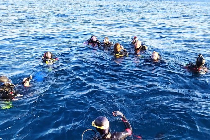 Catania: Scuba Diving Experience - Booking and Cancellation