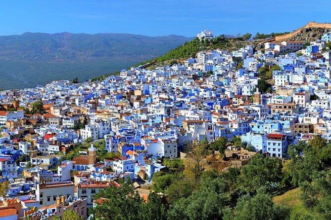 Chefchaouen the Blue City Full-Day Trip From Casablanca - Customer Reviews