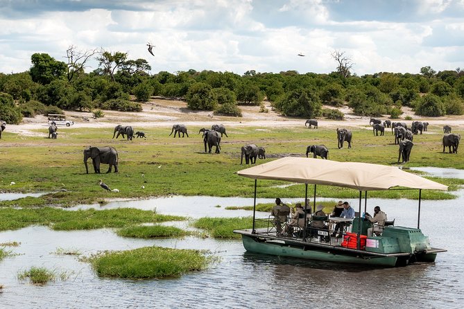 Chobe Day Trip Ex Livingstone / Victoria Falls - Pickup and Start Time