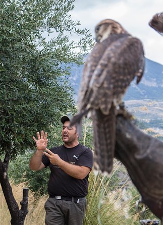 CIVITA EXPERIENCE Borgo Gole Mountain and ... BIRDS OF PREY of the Pollino - Accessibility Considerations