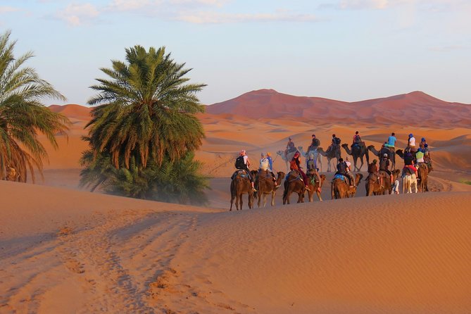 Desert Odyssey: a 2-Day Journey From Marrakech to Zagora - Exploring Zagora and the Oasis