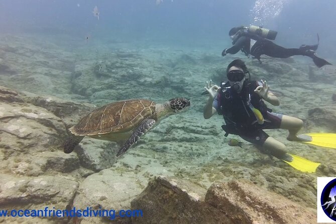 Discover Scuba Diving, Free Pictures Included - Traveler Reviews