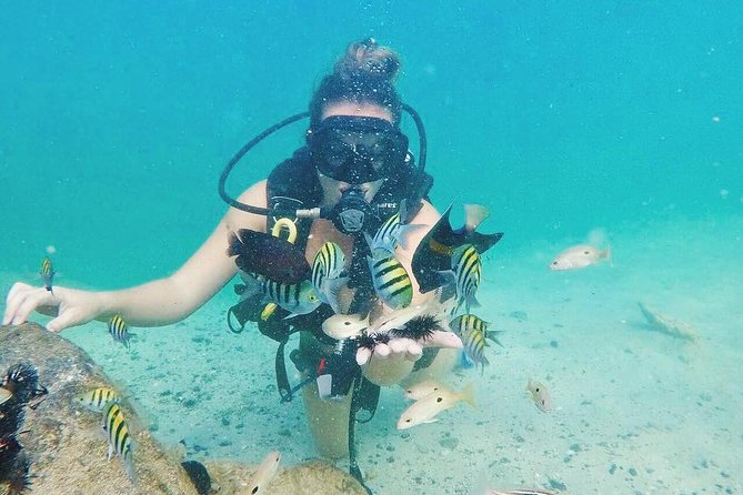 Discover Scuba Diving in Dubai - No Certification Required