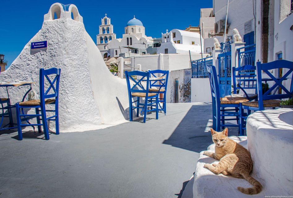 Discover the Best of Santorini - Tour Experience