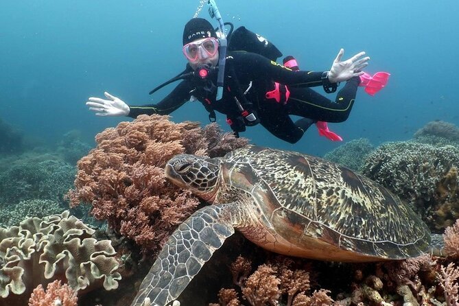 Diving And Snorkeling To Ras Mohamed And White Island By VIP Boat - Dependency on Weather