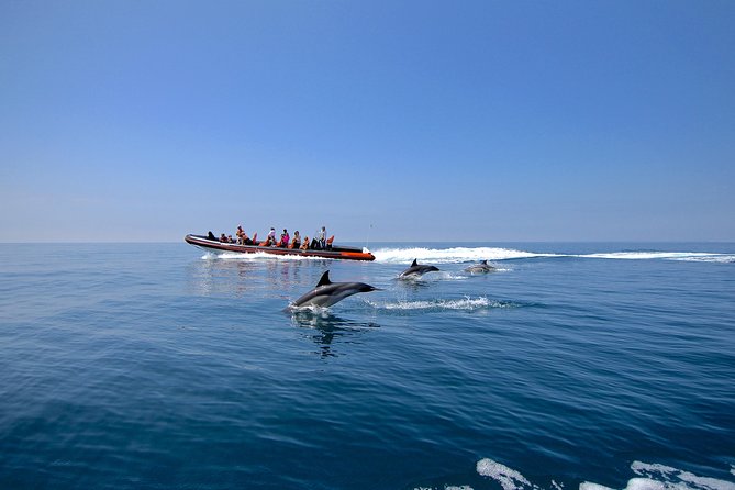 Dolphin Watching and Cave Tour From Vilamoura - Tour Restrictions and Accessibility