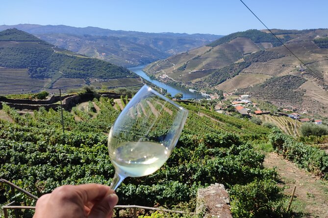 Douro Valley Premium Tours - Private Driver & Guide - Cancellation Policy