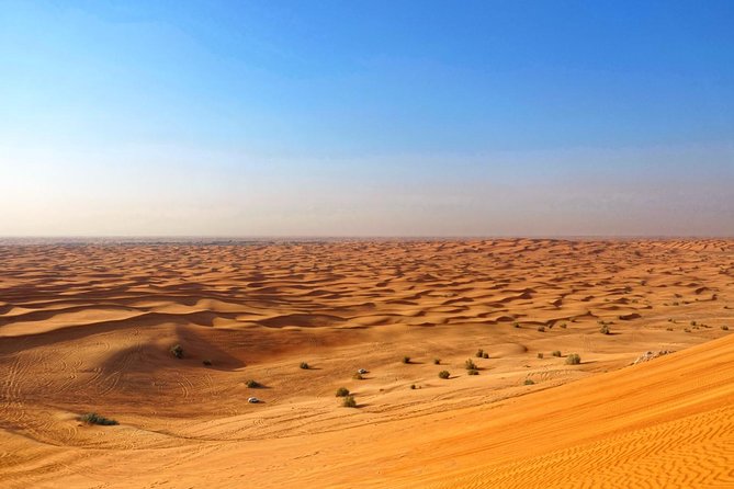 Dubai Desert Safari With Dune Bashing, Camel Rides & BBQ - Logistics and Transportation