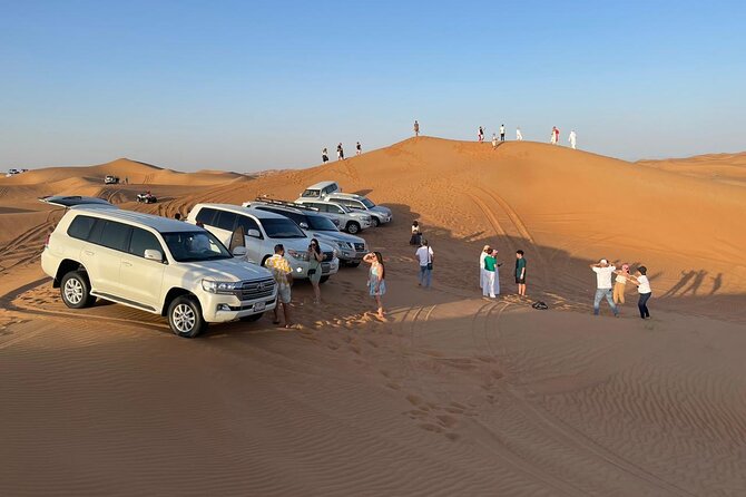 Dubai Red Dunes Afternoon Desert Safari With Camel Ride - Falcon Experience and Camel Ride