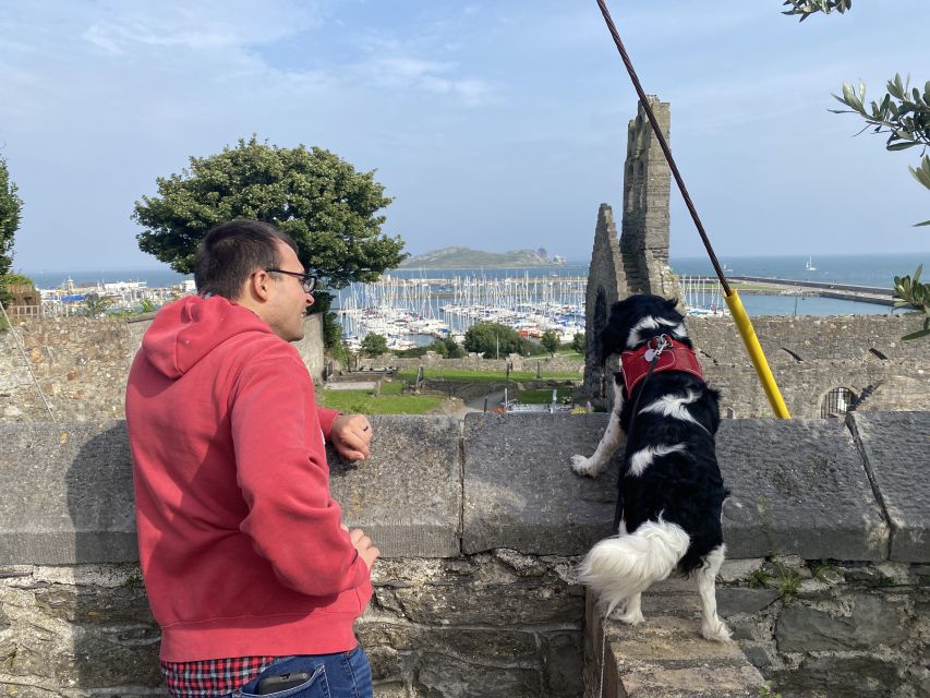 Dublin: Coastal Hike and Pints & Puppies - Participant Information