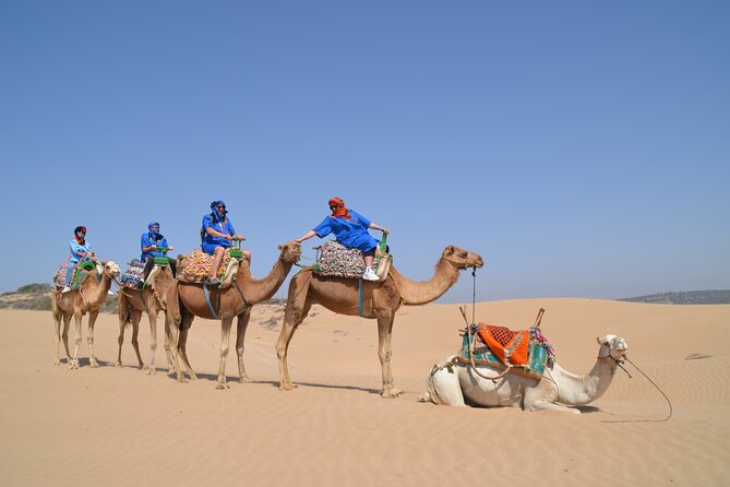 Essaouira 1 Hour Discovery Ride on the Back of a Camel - Duration and Route