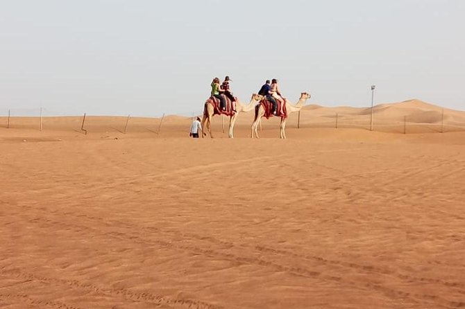 Evening Safari With Quad Bike, Camel Riding, BBQ Dinner and Dune Bashing - Dune Bashing