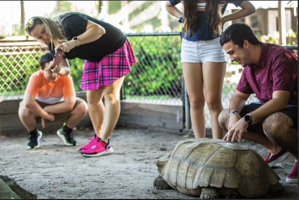 Everglades: Sawgrass Park Reptile Exhibit Private Tour - Animal Encounters