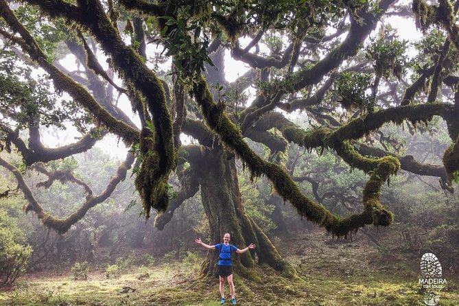 Fanal Ancient Forest Running Tour (Easy-Moderate) - Terrain and Scenery