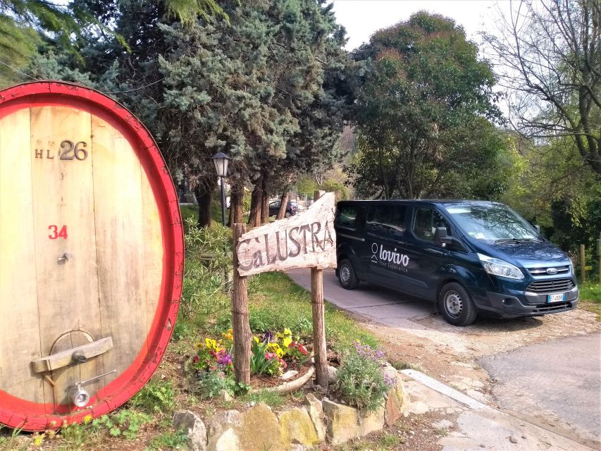 From Abano Montegrotto: Euganean Hills Guided Wine Tour - Highlights of the Tour