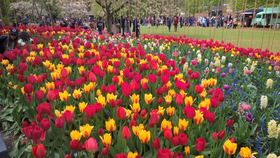 From Amsterdam: Keukenhof and Zaanse Schans Small Group Tour - Keukenhof Flower Gardens