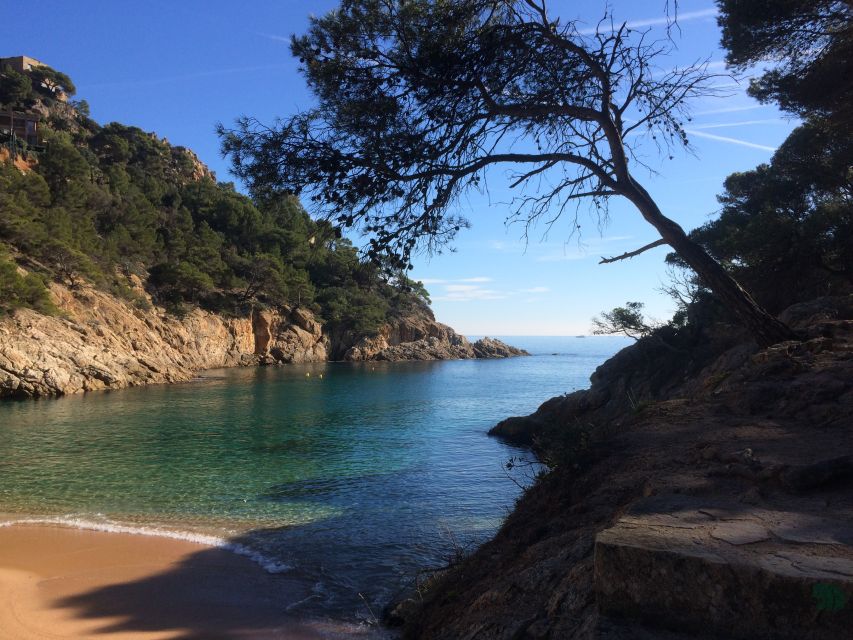 From Barcelona: Costa Brava Hike, Snorkel & Tossa De Mar - Things To Known