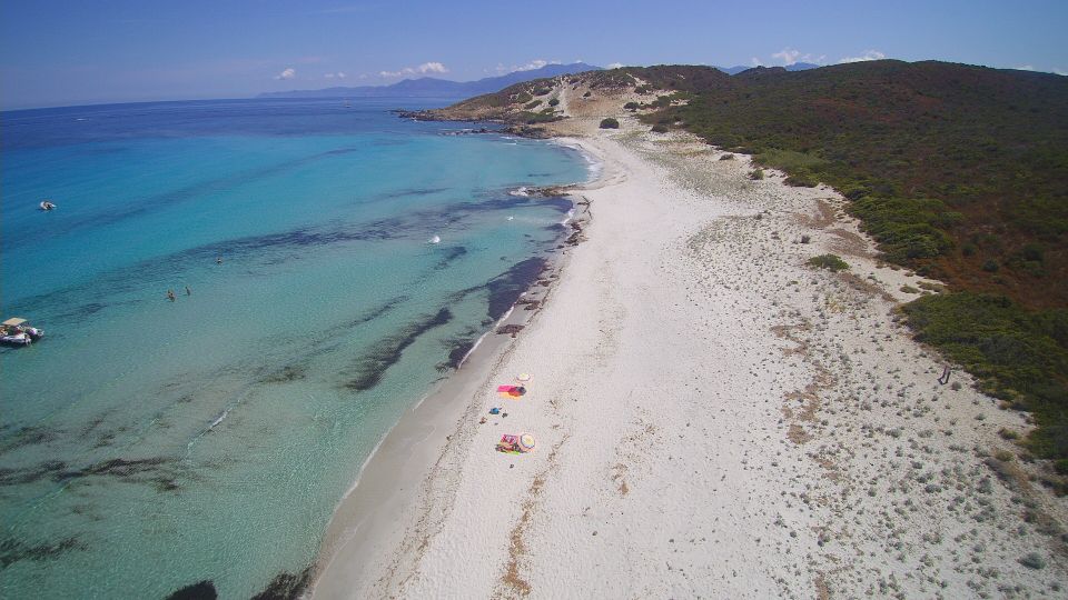 From Bastia: Off-Road Agriates Desert and Beach Excursion - Diverse Landscapes and Wildlife