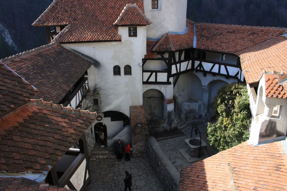 From Bucharest: Bran Castle and Peleș Castle Guided Day Trip - Tour Inclusions