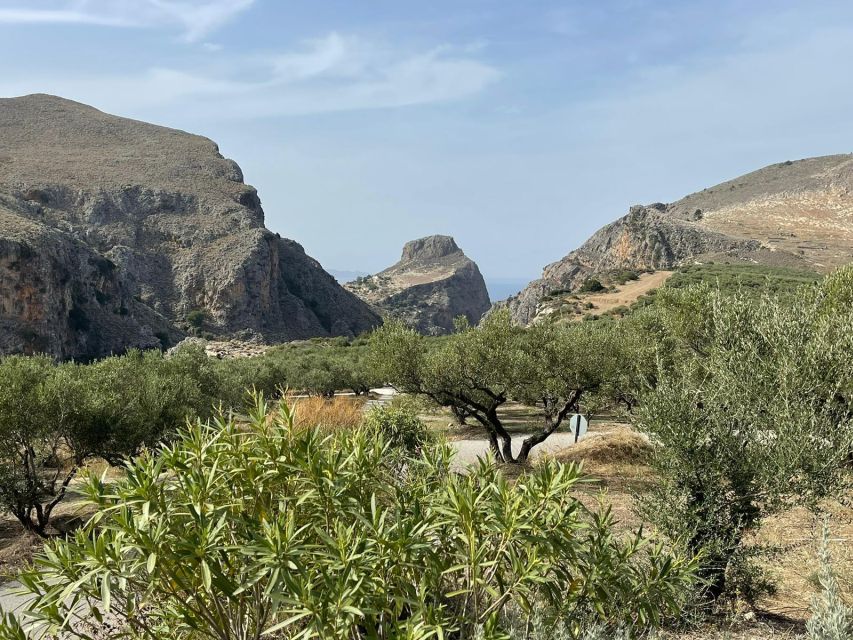 From Chania: Falassarna Beach, Wine & Olive Oil Private Tour - Vineyard Experience