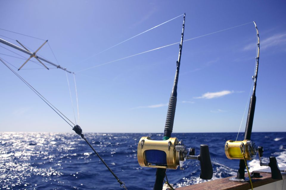 From Funchal : Big Game Fishing Boat Trip - Frequently Asked Questions