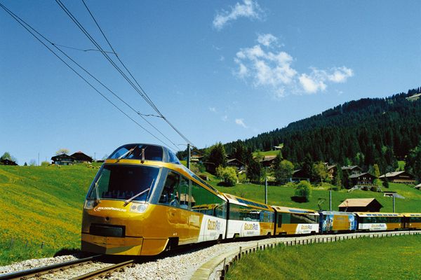 From Geneva: Gruyères Gold Tour With Train Ride & Tastings - Duration and Timings