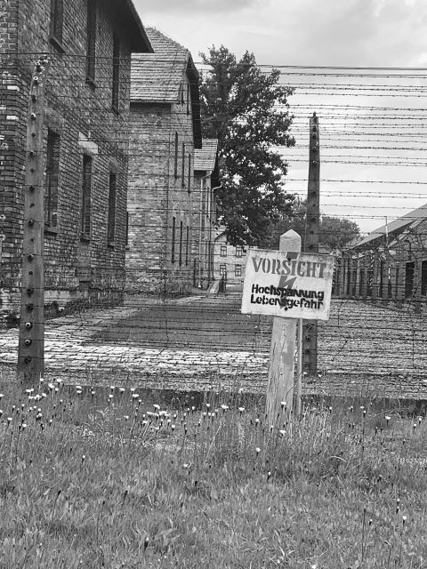 From Krakow: Guided Auschwitz-Birkenau Group Tour by Minivan - Highlights and Educational Value