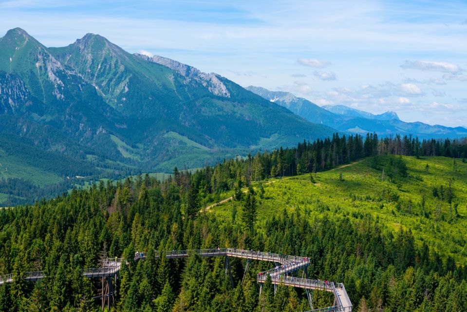 From Krakow: Slovakia Treetop Walk Bachledka Private Tour - Treetop Walk Experience